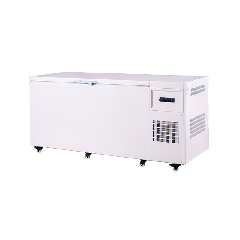 Mini -60°C Chest Deep Freezer For Medical Storage