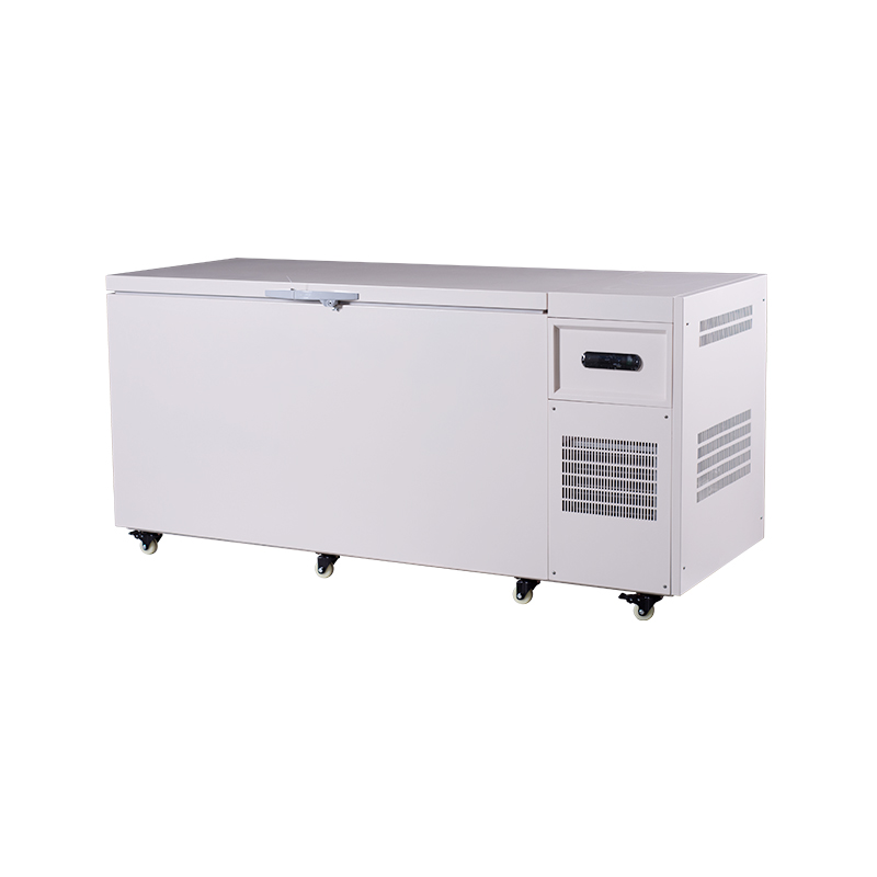 600L Large Capacity -60°C Chest Freezer for Biological Sample Storage