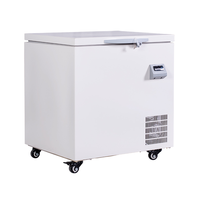 Big 600L Ultra-Low Temperature Storage Solutions (-80°C) For Medical & Laboratory Use