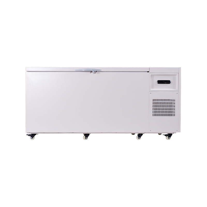600L Large Capacity -60°C Chest Freezer for Biological Sample Storage
